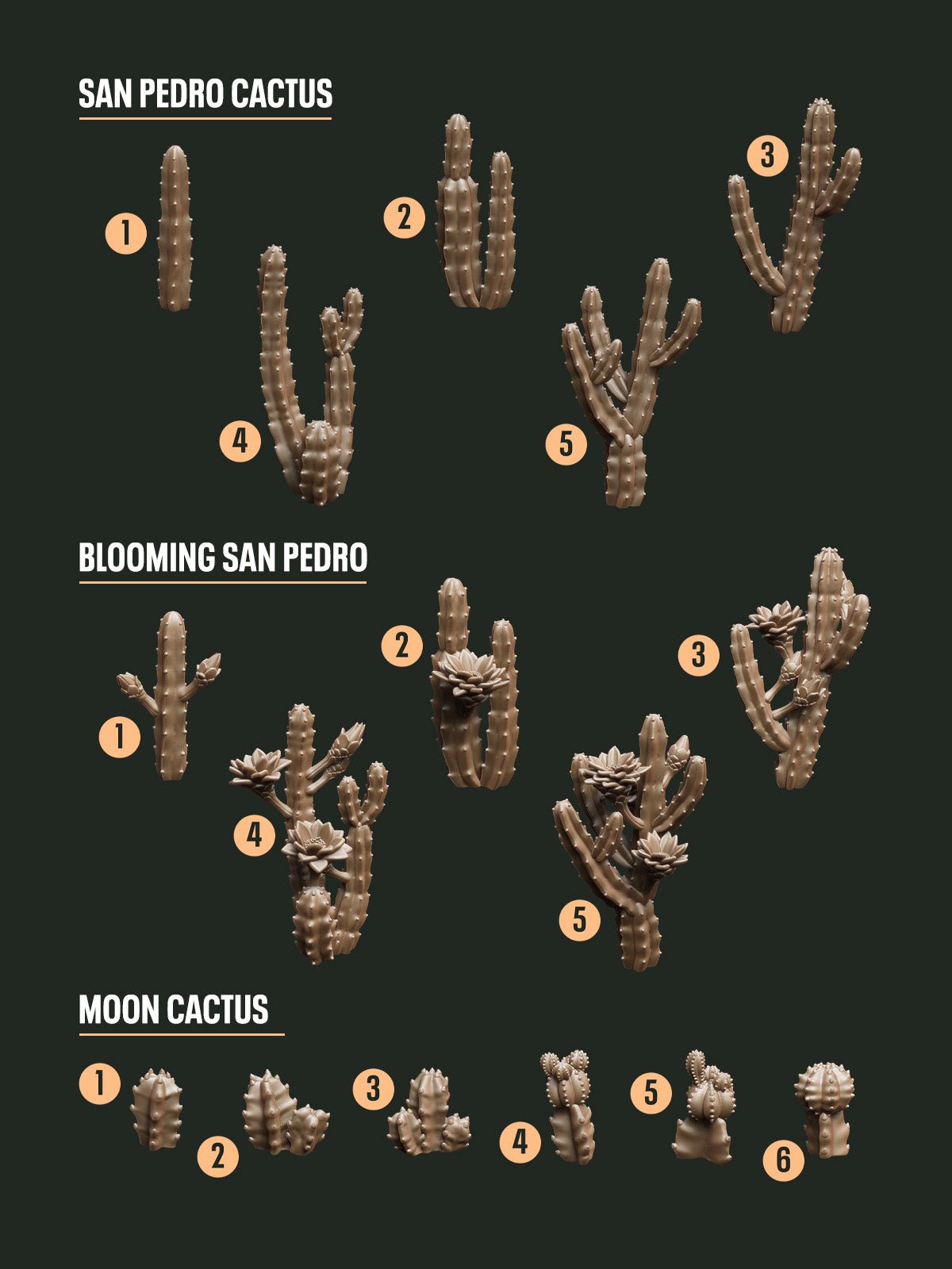 Digital Download - Cactus San Pedro STL - Epic Basing