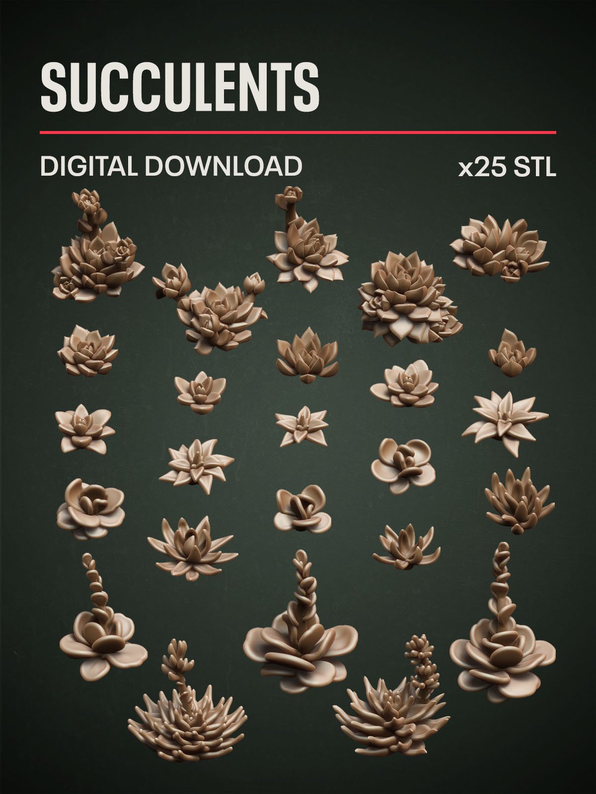 succulent stl Digital Download