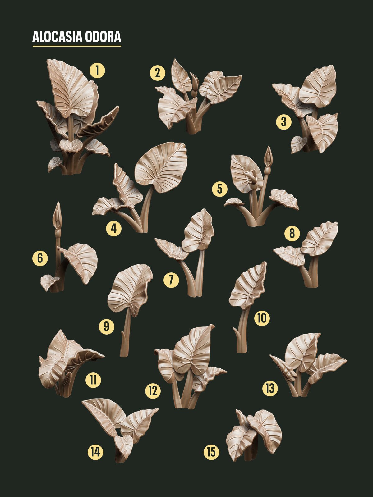 Digital Download - Tropical Alocasia STL - Epic Basing