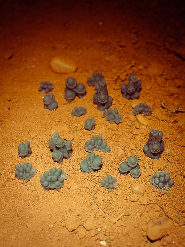 20x Resin Models - Alien Eggs - Epic Basing