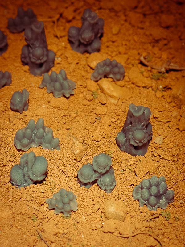 20x Resin Models - Alien Eggs - Epic Basing