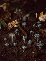 30x Oozing Mushrooms - Resin Hobby Supplies - Epic Basing