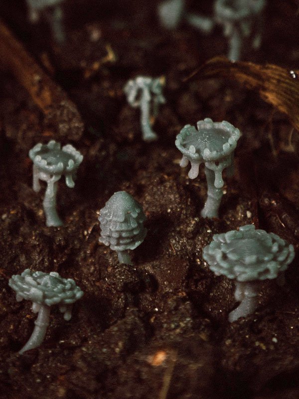 30x Oozing Mushrooms - Resin Hobby Supplies - Epic Basing