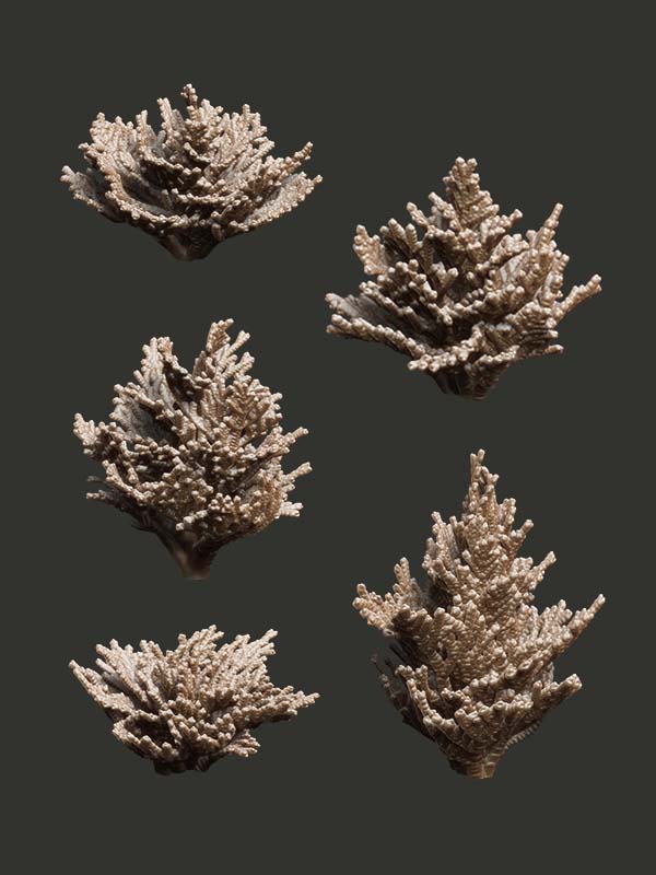 Cedar Bushes - Digital STL Pack - Epic Basing