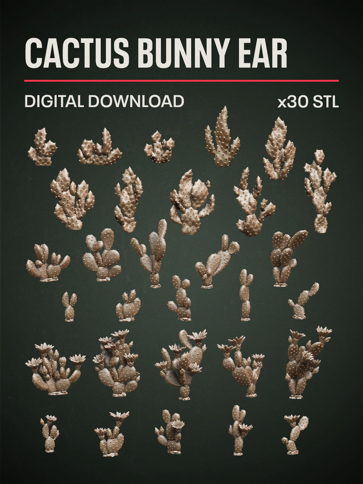 Digital Download - Cactus Bunny Ear STL