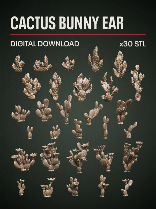 Digital Download - Cactus Bunny Ear STL