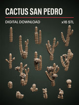 Digital Download - Cactus San Pedro STL
