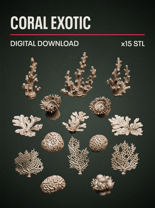 Digital Download - Coral Exotic STL