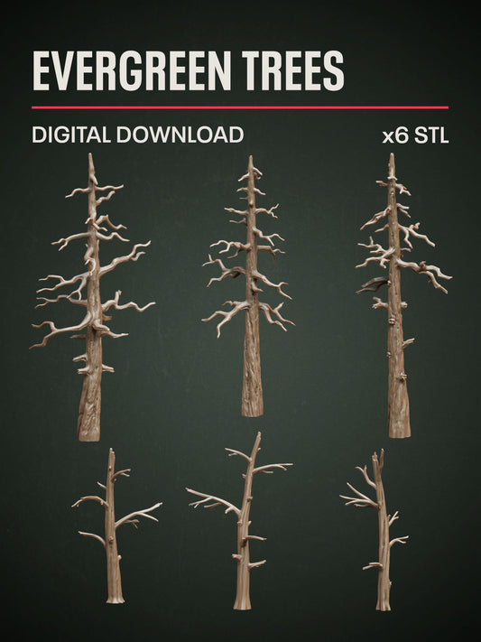 Digital Download - Evergreen Trees STL