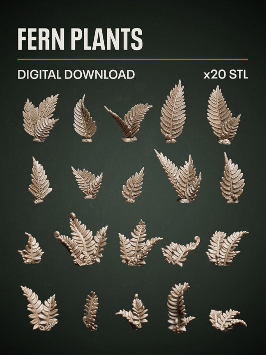 Digital Download - Fern Plants STL