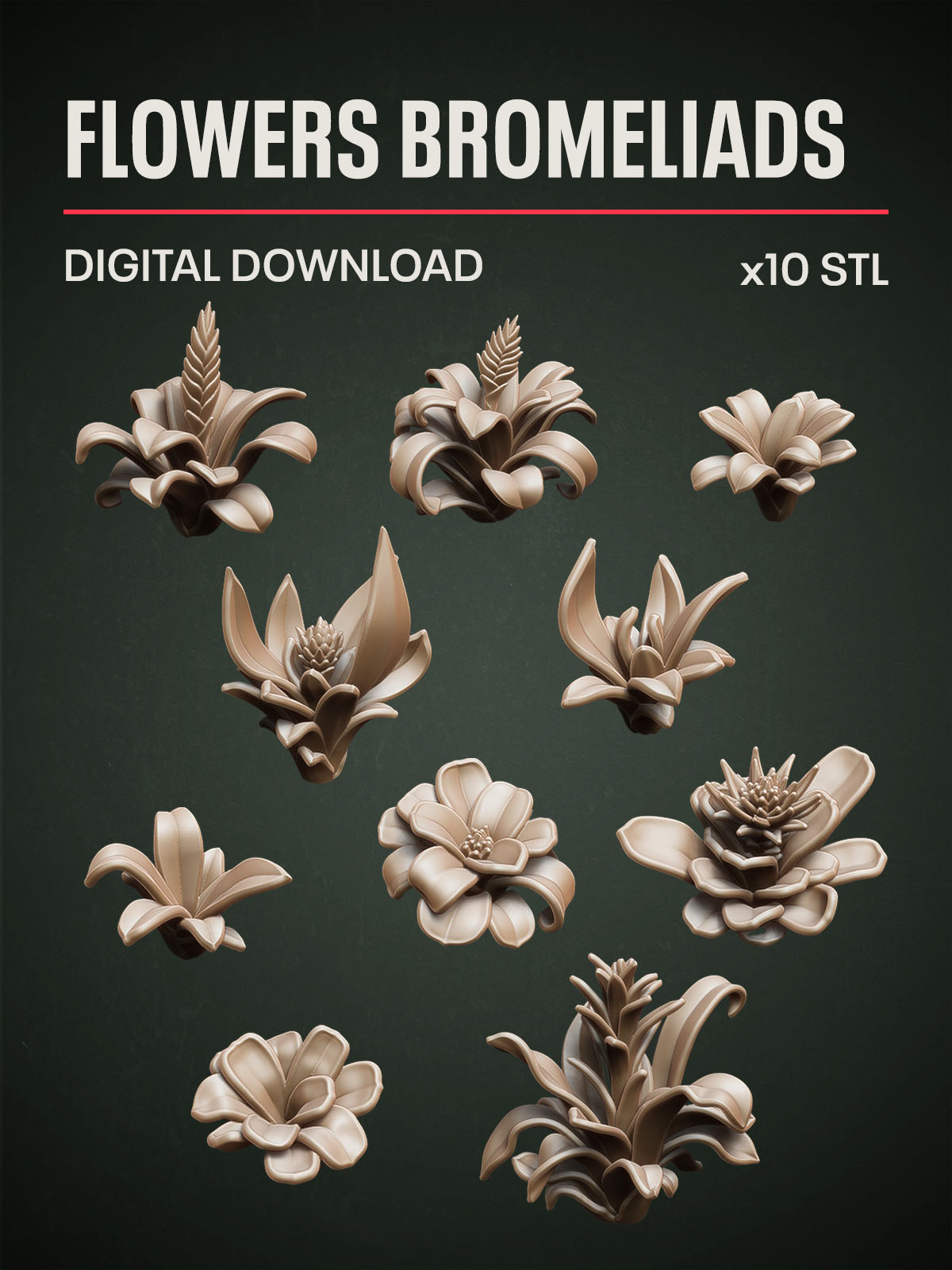 Digital Download - Flowers Bromeliads STL
