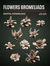 Digital Download - Flowers Bromeliads STL