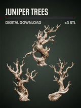 Digital Download - Juniper Trees STL