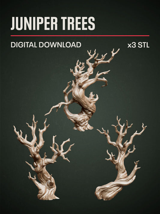 Digital Download - Juniper Trees STL