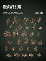 Digital Download - Seaweeds STL