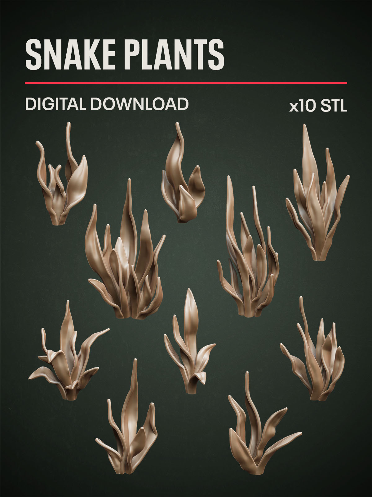 Digital Download - Snake Plants STL