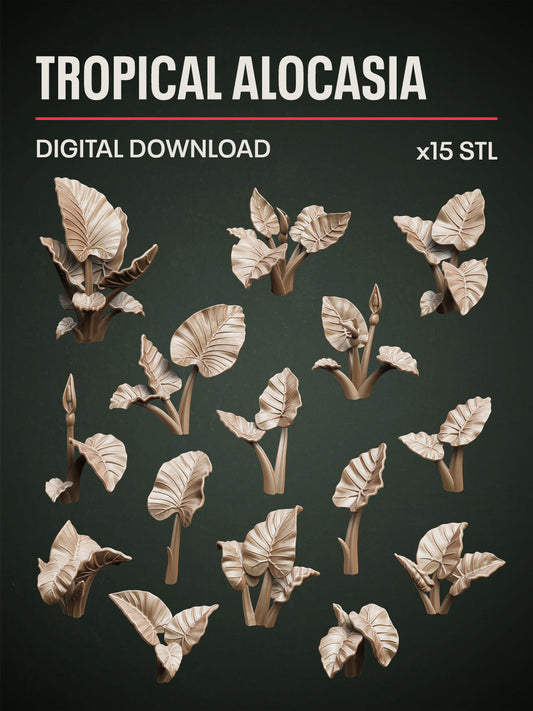 Digital Download - Tropical Alocasia STL