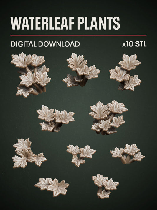 Digital Download - Waterleaf Plants STL