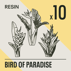 BIRD OF PARADISE - Resin Basing Bits - Epic Basing