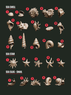 DIGITAL COLLECTION - Critters Sea STL - Epic Basing