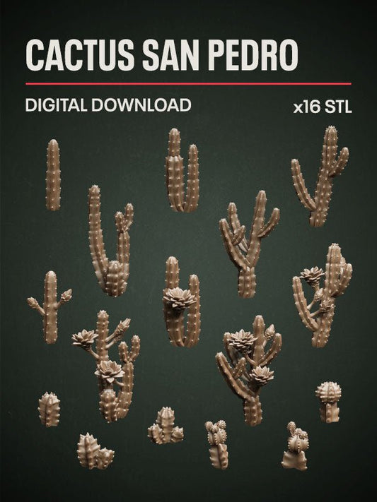 Digital Download - Cactus San Pedro STL - Epic Basing