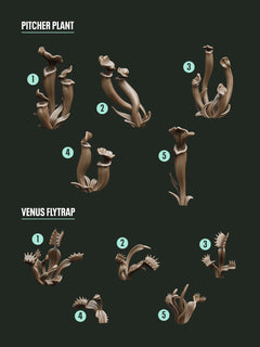 Digital Download - Carnivorous Plants STL - Epic Basing