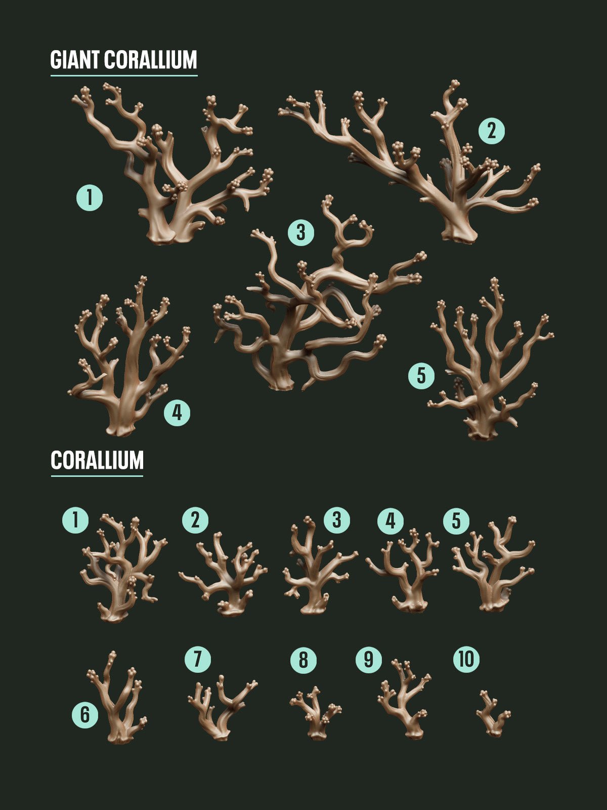 Digital Download - Corallium STL - Epic Basing