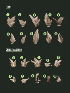 Digital Download - Fern Plants STL - Epic Basing