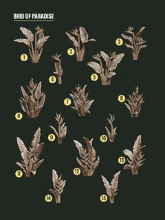 Digital Download - Flowers Exotic STL - Epic Basing