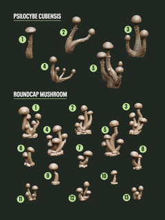 Digital Download - Fungus Roundcap STL - Epic Basing