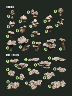 Digital Download - Fungus STL - Epic Basing