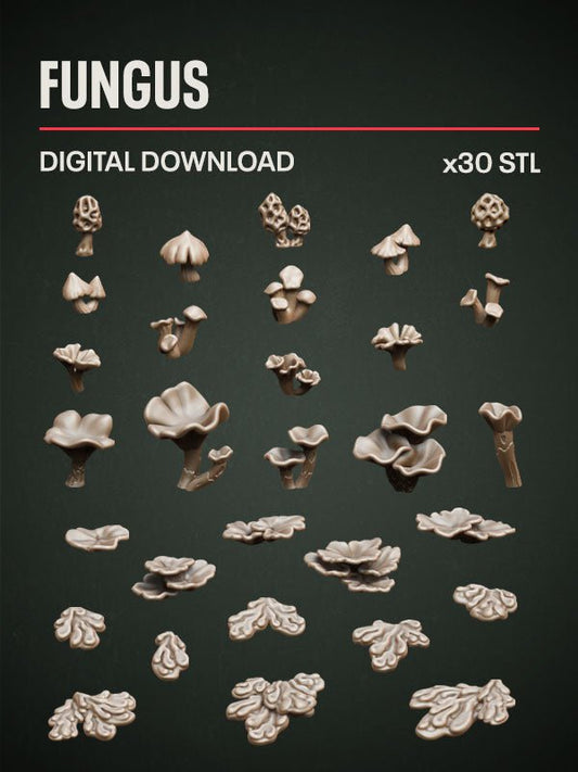 Digital Download - Fungus STL - Epic Basing