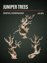 Digital Download - Juniper Trees STL - Epic Basing