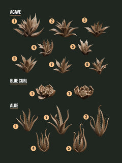 Digital Download - Succulents Agave STL - Epic Basing