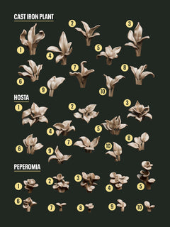 Digital Download - Tropical Plants STL - Epic Basing