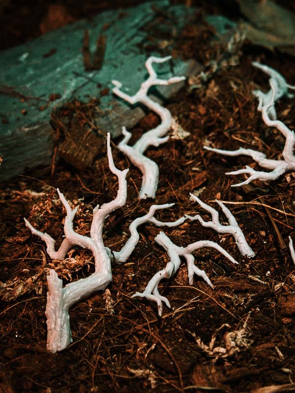 10x Bark Tree Branches - Resin Basing Bits - Epic Basing