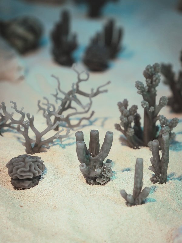 16x Giant Corals - Resin Hobby Supplies - Epic Basing
