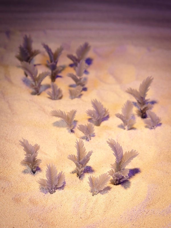 20x Palm Plants - Resin Hobby Supplies - Epic Basing