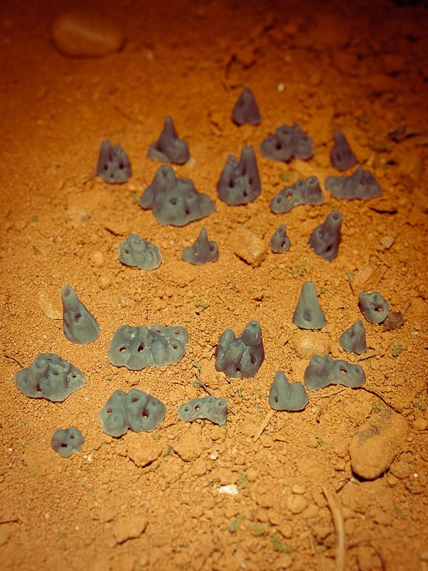 25x Resin Models - Infested Mounds - Epic Basing