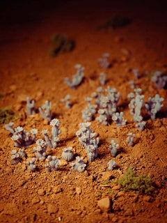 40x Blooming Cactus Combo - Resin Hobby Supplies - Epic Basing